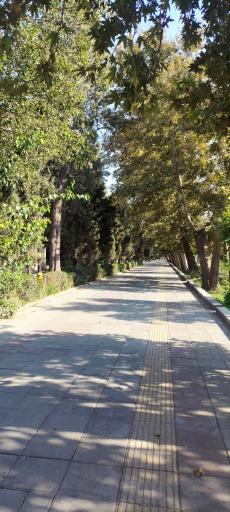 عکس دریاچه پارک قائم