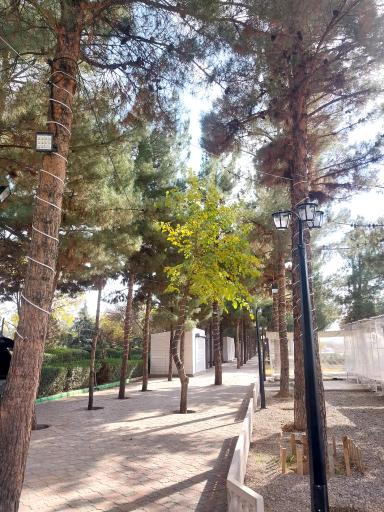 عکس کافه گندم