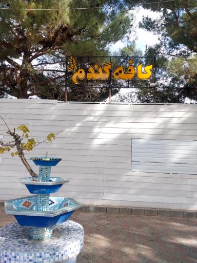 عکس کافه گندم