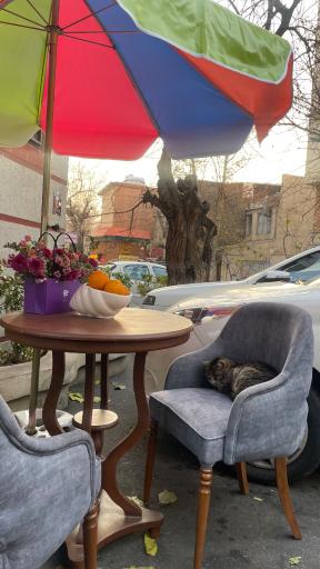 عکس کافه فست فود هلنا