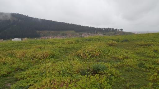 عکس تپه قلعه خندان