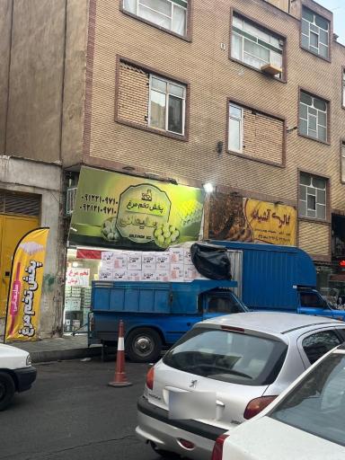 عکس پخش تخم مرغ سلیمانی