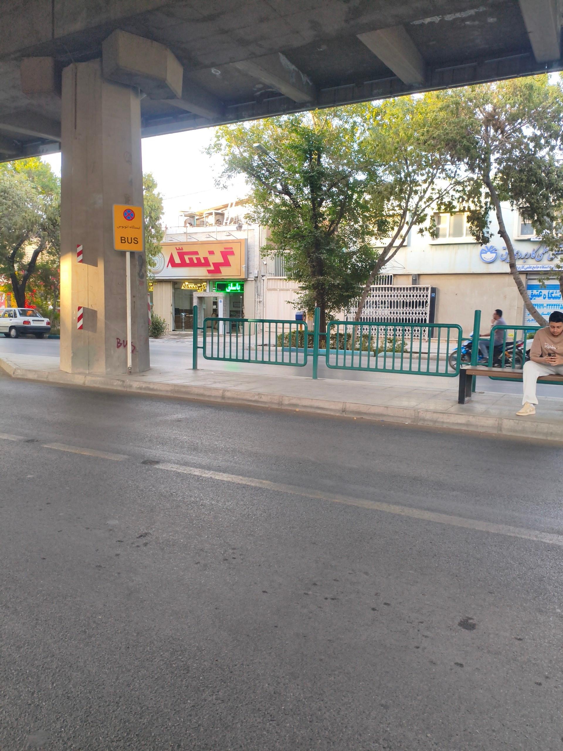 عکس گزسکه