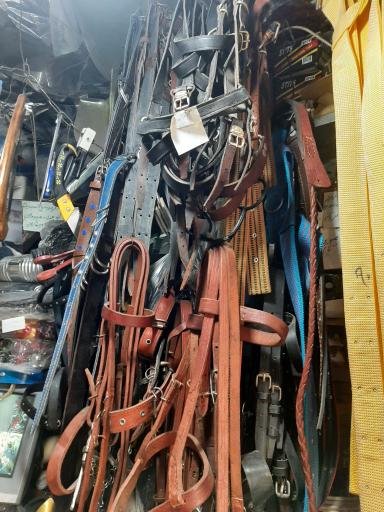 عکس ابزار و لوازم سوارکاری مهدی