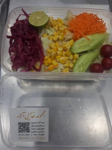 عکس تهیه غذای آلاء