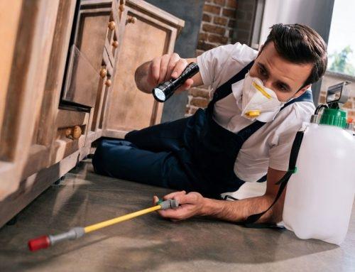 عکس شرکت سمپاشی پاکدون شعبه عنصری