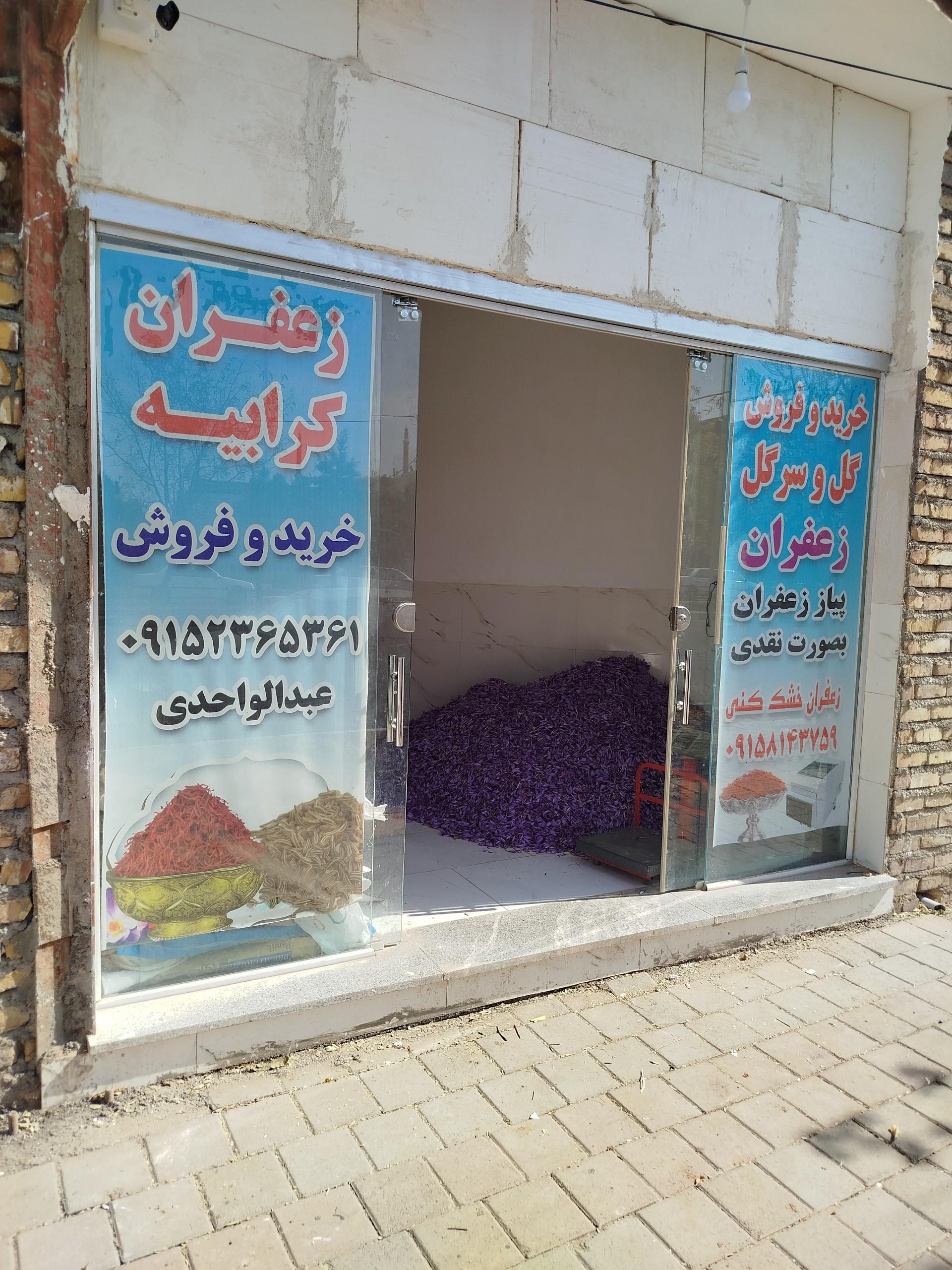 عکس زعفران عبدالواحدی 
