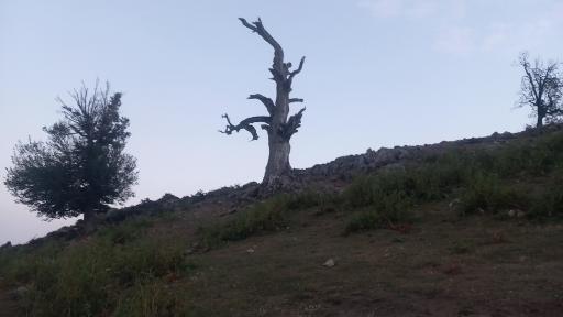 عکس اسالم