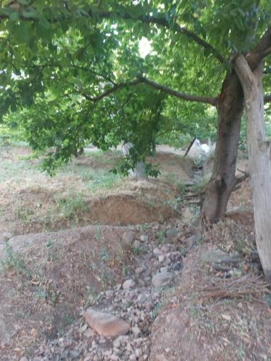 عکس گرمه