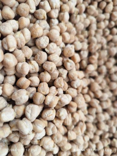 عکس بازرگانی مهندس مهران کرمی