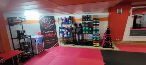 عکس باشگاه ورزشی مسیرتندرستی ویژه بانوان