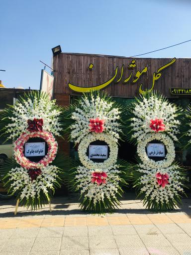 عکس گل فروشی موژان