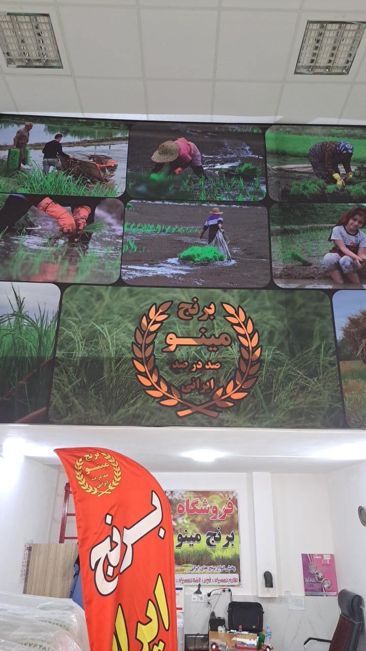 عکس برنج مینو