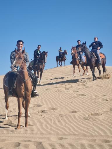 عکس باشگاه سوارکاری شمس