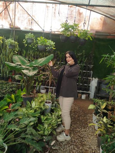 عکس سیتی گل