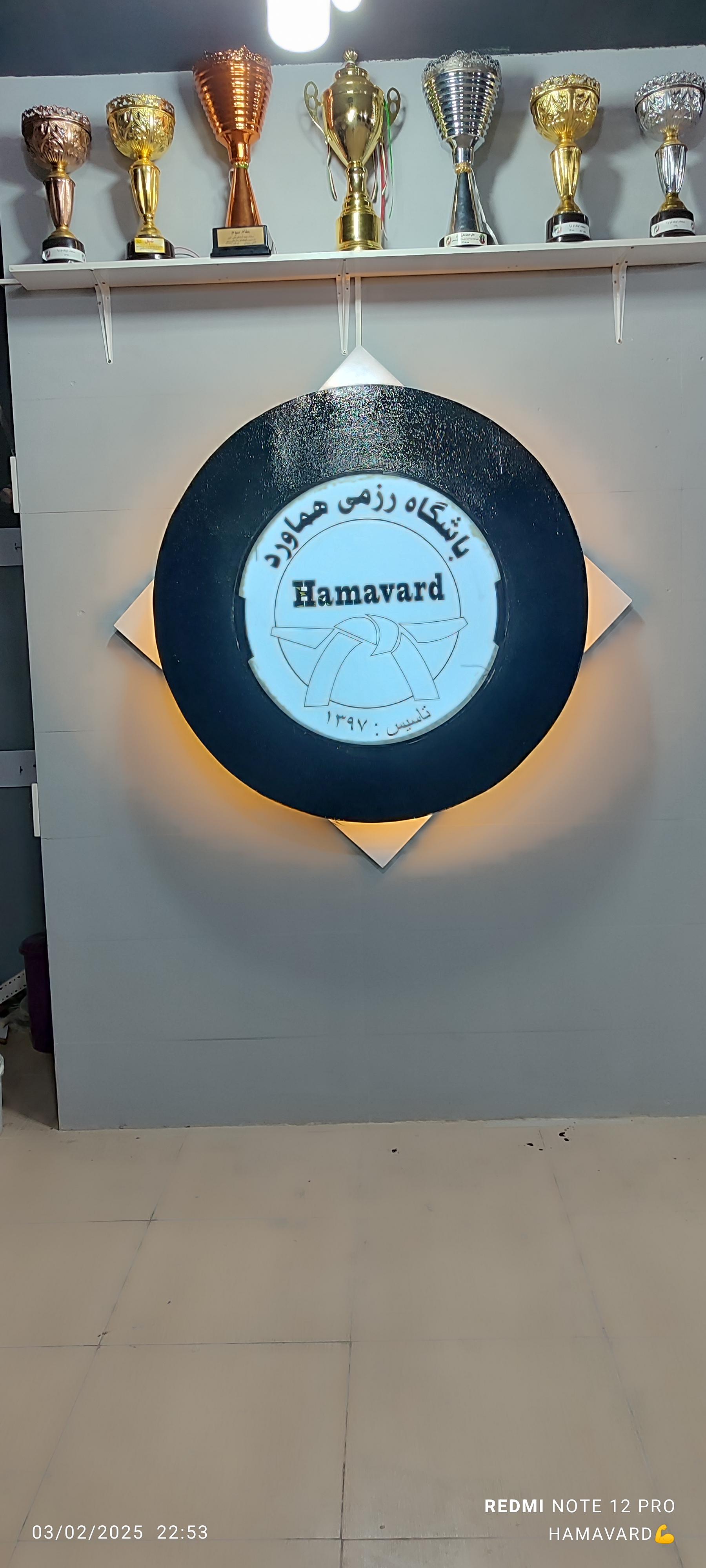 عکس باشگاه رزمی هماورد 