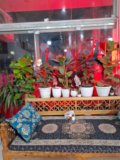 عکس تهیه غذای گل گندم فریدی