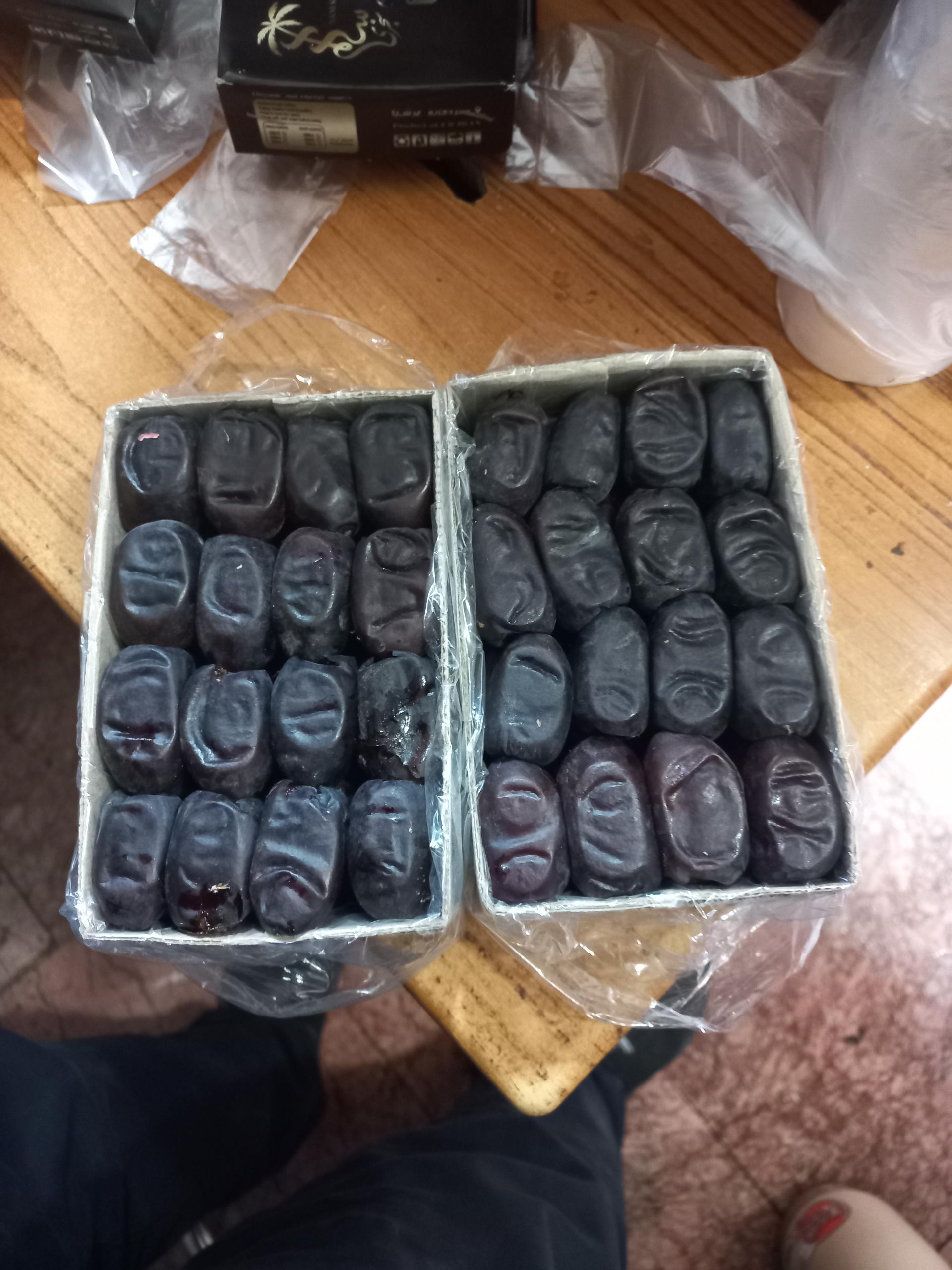 عکس نخلستان بم محمدزاده