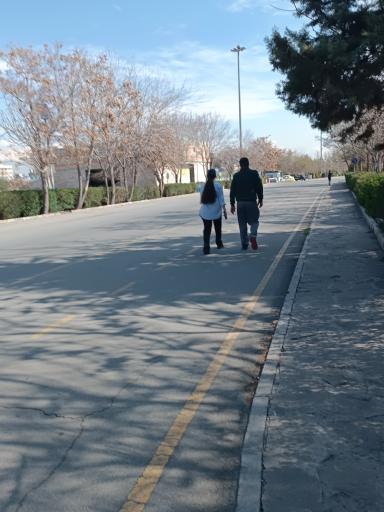 عکس بوستان بزرگ ولایت