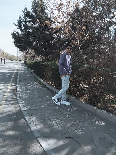 عکس بوستان بزرگ ولایت