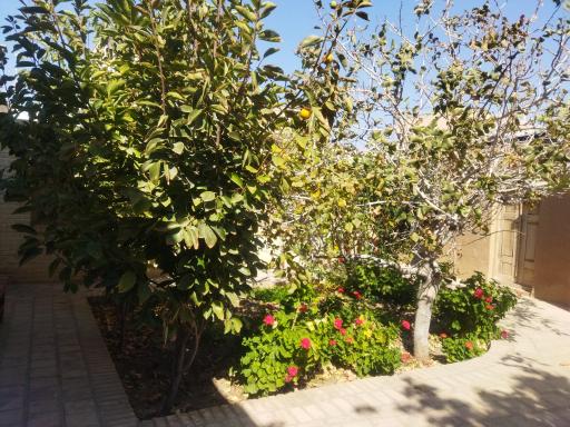 عکس اقامتگاه سنتی و بومگردی پارسا