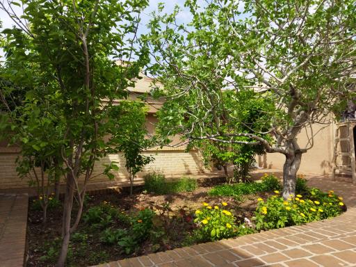 عکس اقامتگاه سنتی و بومگردی پارسا