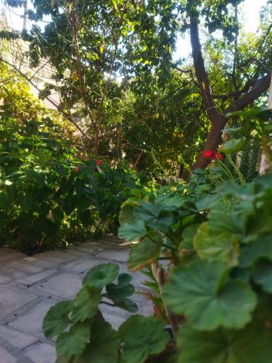 عکس اقامتگاه سنتی و بومگردی پارسا