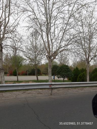 عکس بوستان بزرگ ولایت