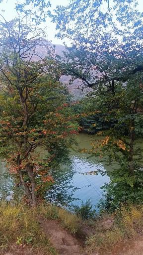 عکس چشمه و دریاچه گل رامیان