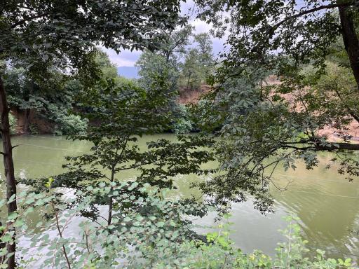 عکس چشمه و دریاچه گل رامیان