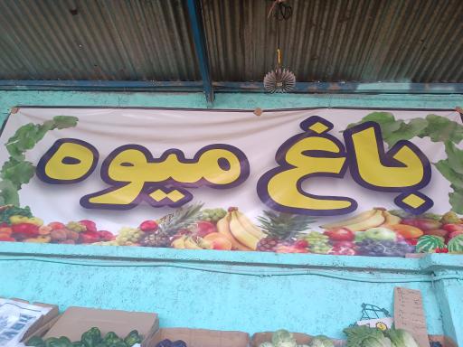 میوه و تره بار رهبردار