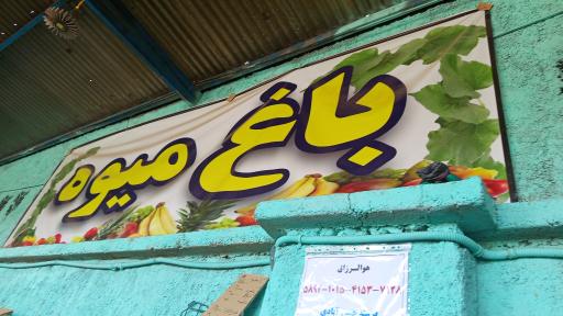 میوه و تره بار رهبردار