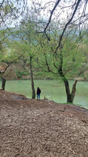 عکس چشمه و دریاچه گل رامیان