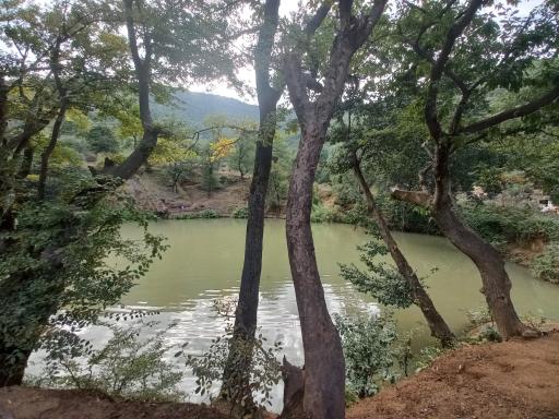 عکس چشمه و دریاچه گل رامیان