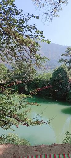 عکس چشمه و دریاچه گل رامیان