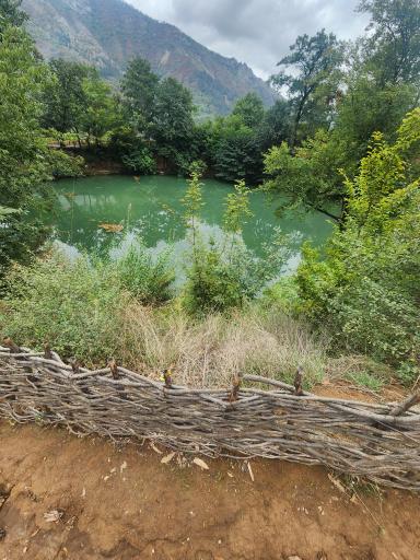 عکس چشمه و دریاچه گل رامیان