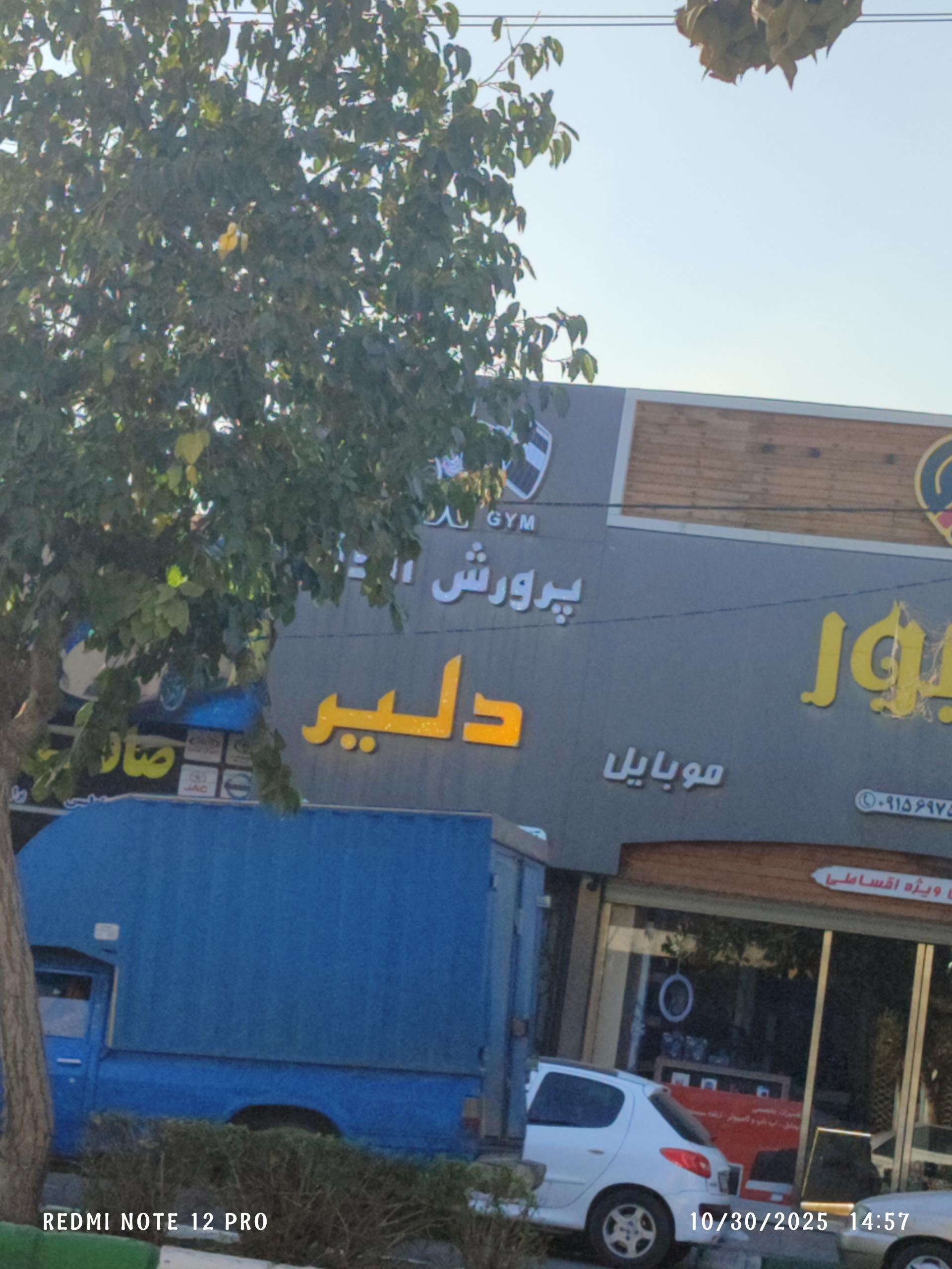 عکس پرورش اندام دلیر 