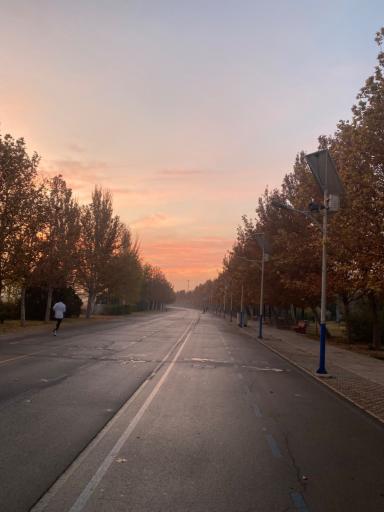 عکس بوستان بزرگ ولایت