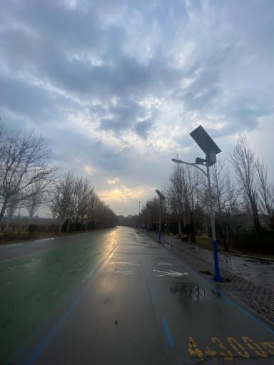 عکس بوستان بزرگ ولایت