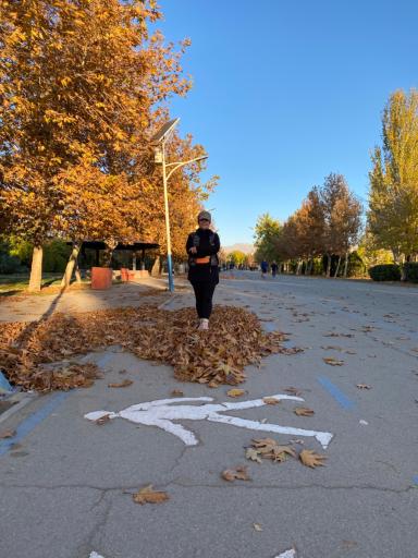 عکس بوستان بزرگ ولایت