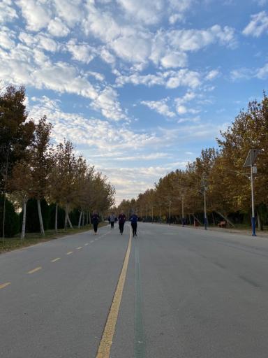 عکس بوستان بزرگ ولایت