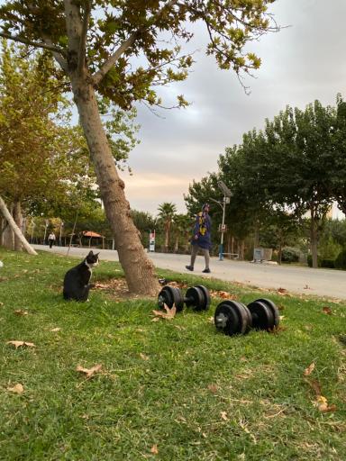 عکس بوستان بزرگ ولایت