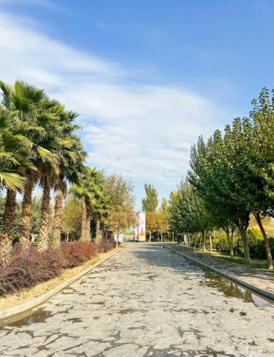 عکس بوستان بزرگ ولایت