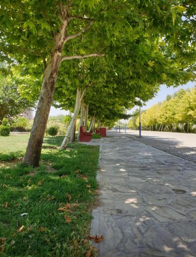عکس بوستان بزرگ ولایت