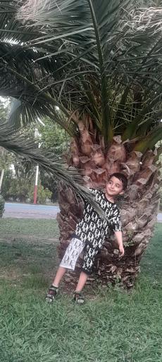 بوستان بزرگ ولایت