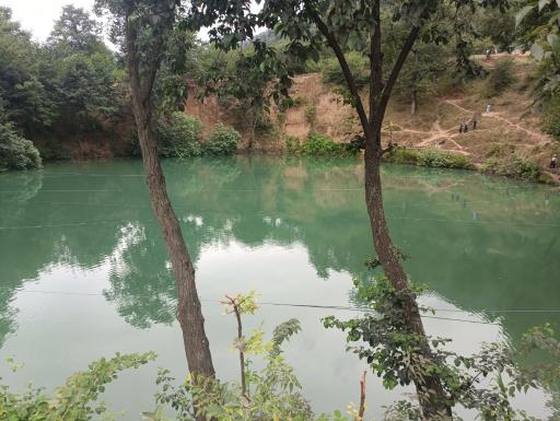 عکس چشمه و دریاچه گل رامیان