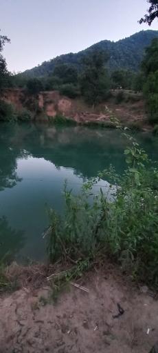 عکس چشمه و دریاچه گل رامیان