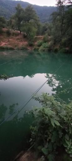 عکس چشمه و دریاچه گل رامیان
