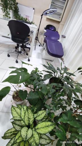 عکس مرکز تخصصی ناخن و زیبایی سودا