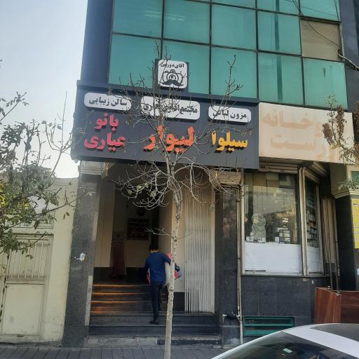 عکس سالن زیبای بانوی عیاری